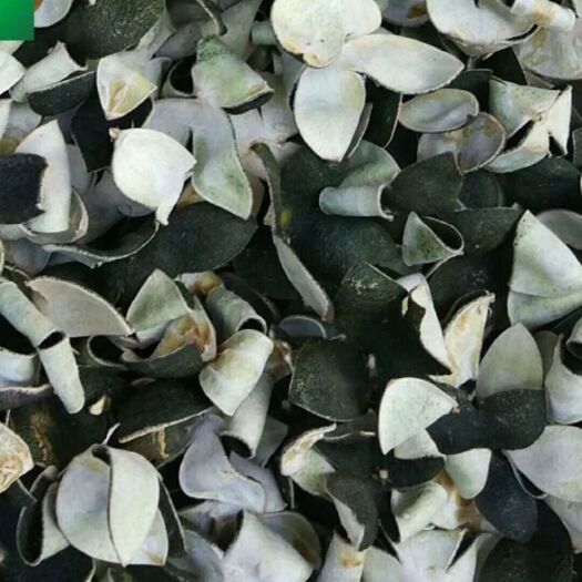 浦北县 世界长寿之乡浦北四桧柑干陈皮