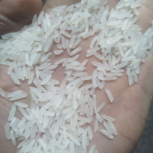 益阳柬埔寨香米 一等品 晚稻 籼米