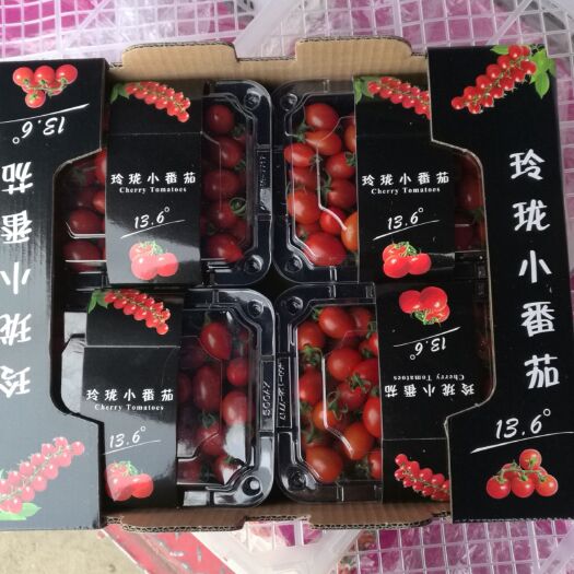 平度市青岛小玲珑！釜山88圣女果！