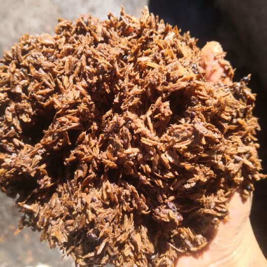 宜宾 质量上佳的酒糟