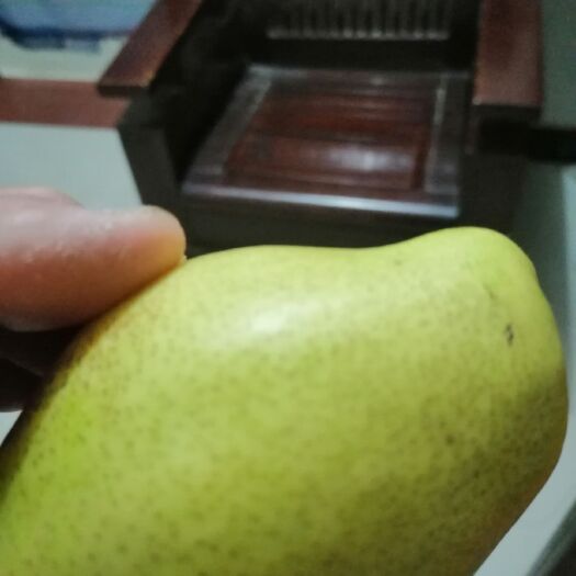 渭南 香梨