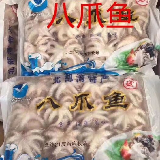 佛山 八爪鱼