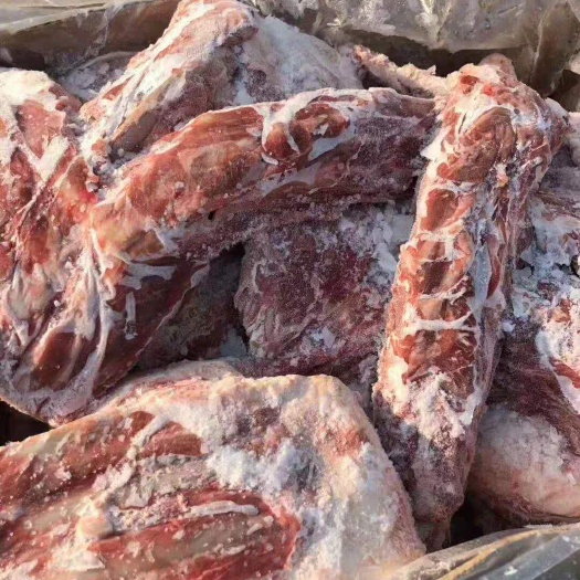中牟县羊骨头 多肉羊槽骨