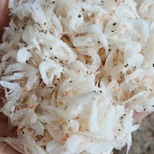 仙游县 淡干虾皮