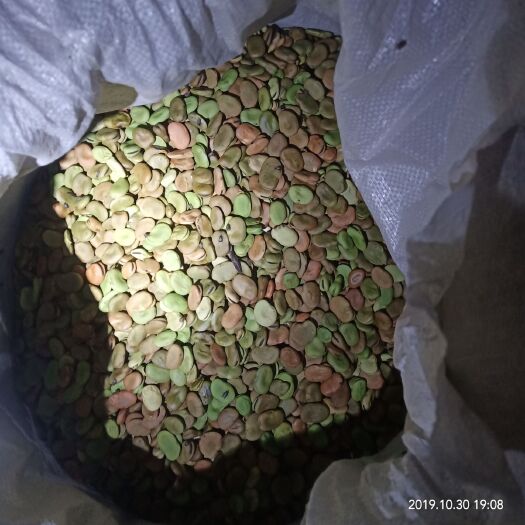 柘城县干蚕豆 货好 价便宜