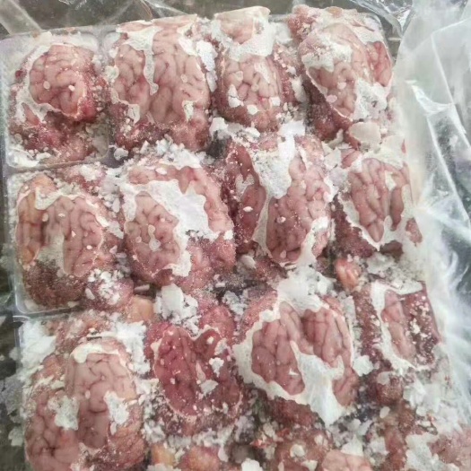 郑州羊脑