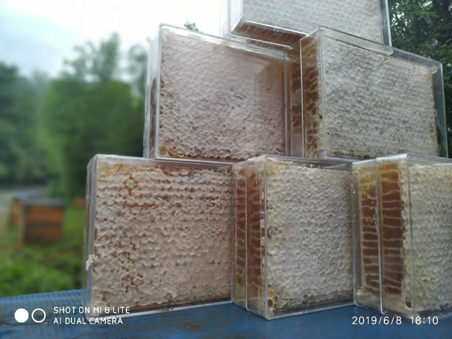  蜂巢蜜新鲜1斤装蜂蜜天然农家自产自销嚼着吃的蜂蜜