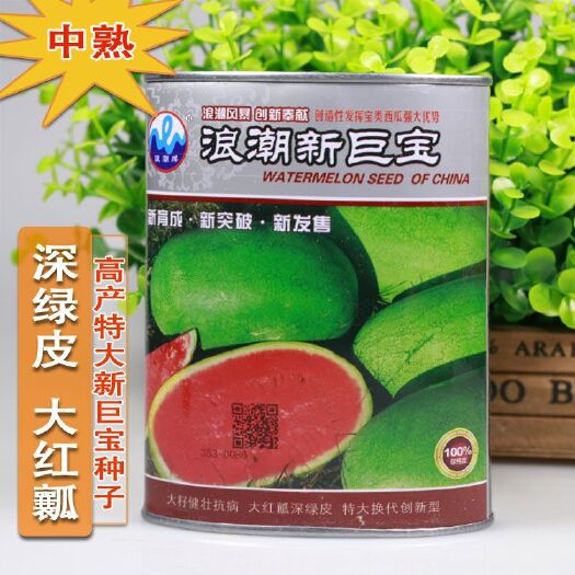 樟树市 特大西瓜种子绿皮红瓤新红宝类中熟抗病耐重茬品种原装正品