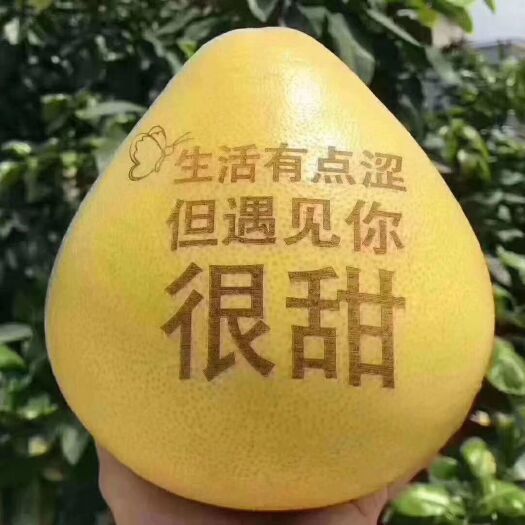麻城市平和蜜柚 2斤以上