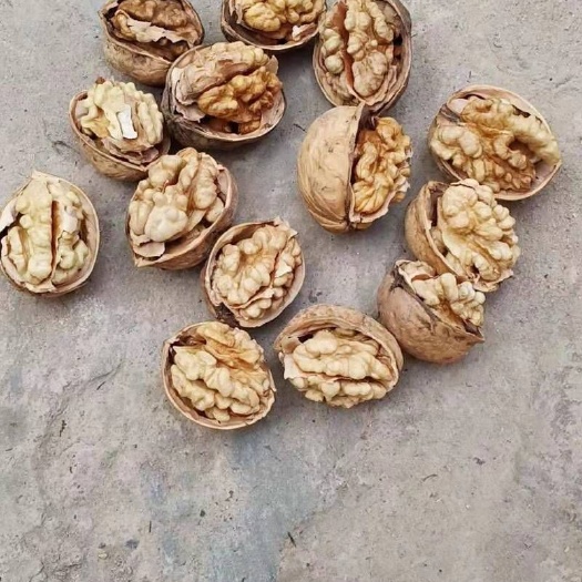  正宗新疆薄皮核桃，产地直销  一手货源！