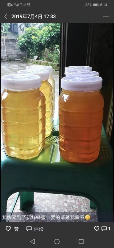 崇阳县土蜂蜜 桶装 2年 