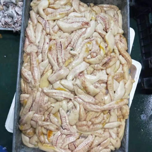 霞浦县 黄花鱼籽
