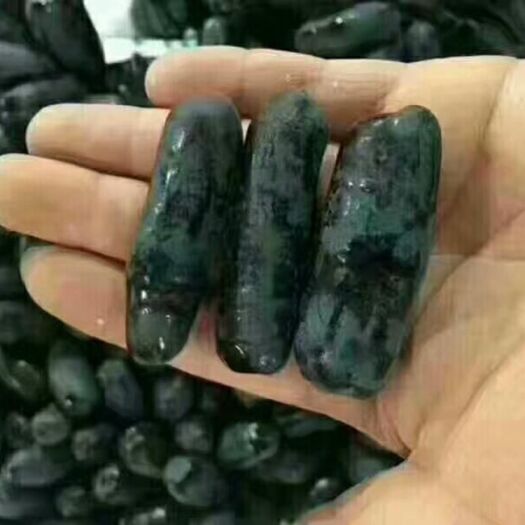 泰安甜蜜蓝宝石葡萄苗，嫁接苗扦插苗出售中