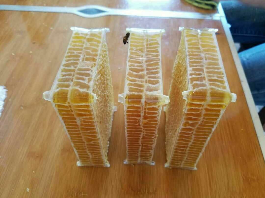  蜂巢蜜新鲜1斤装蜂蜜天然农家自产自销嚼着吃的蜂蜜