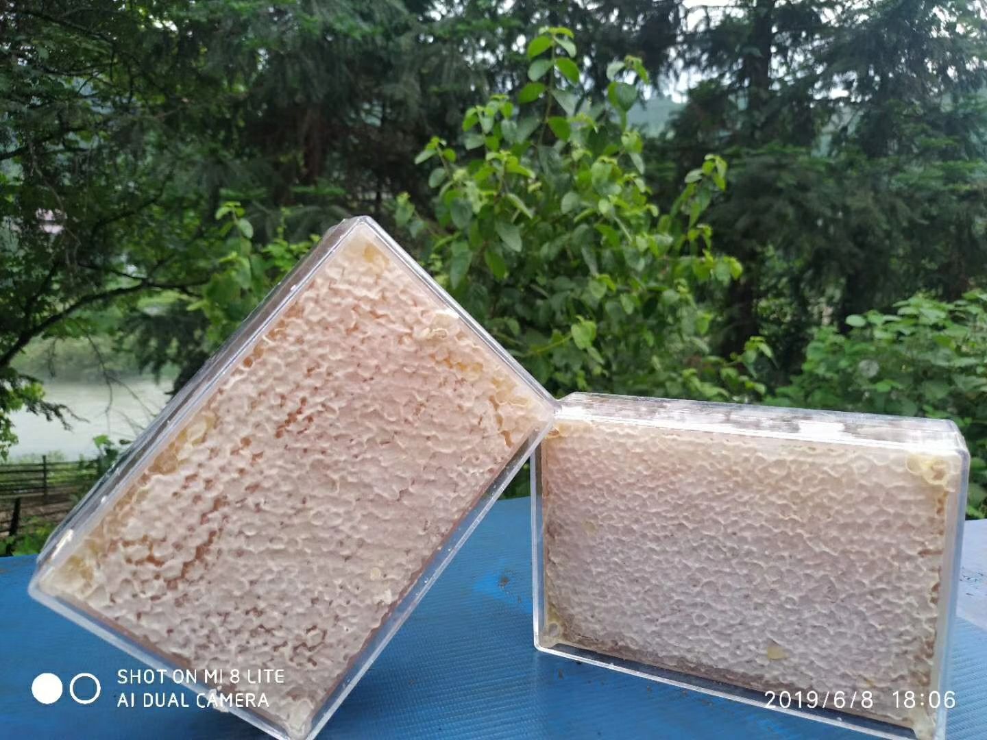  蜂巢蜜新鲜1斤装蜂蜜天然农家自产自销嚼着吃的蜂蜜