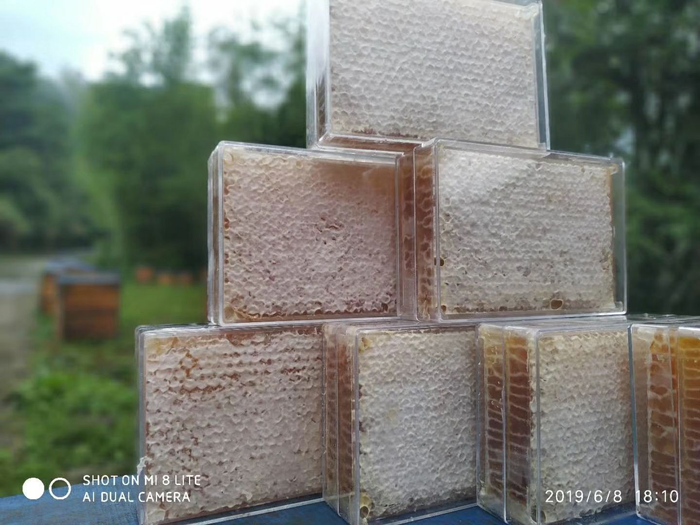  蜂巢蜜新鲜1斤装蜂蜜天然农家自产自销嚼着吃的蜂蜜