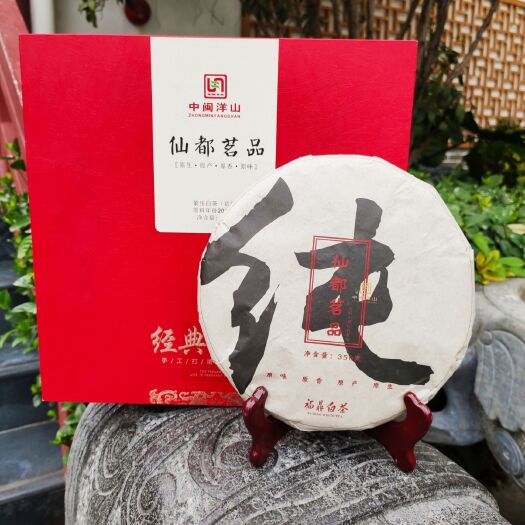 深圳 中闽洋山     仙都茗品白茶贡眉产自福鼎太姥山太姥洋村