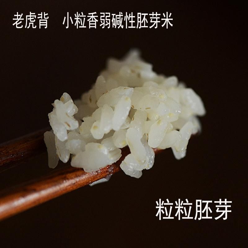 胚芽米 一等品 一季稻 粳米