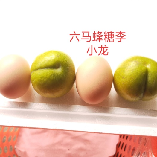 镇宁县蜂糖李树苗 正宗一代六马蜂糖李，质量保证。假一棵赔一万