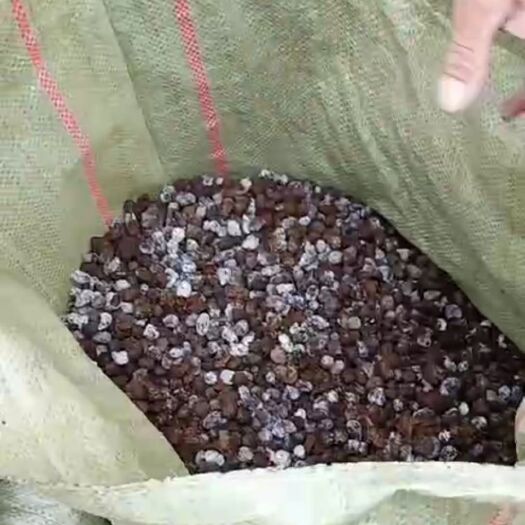 巢湖 本农场长期供用有机发酵好羊粪，顾客满意，就是我的追求。