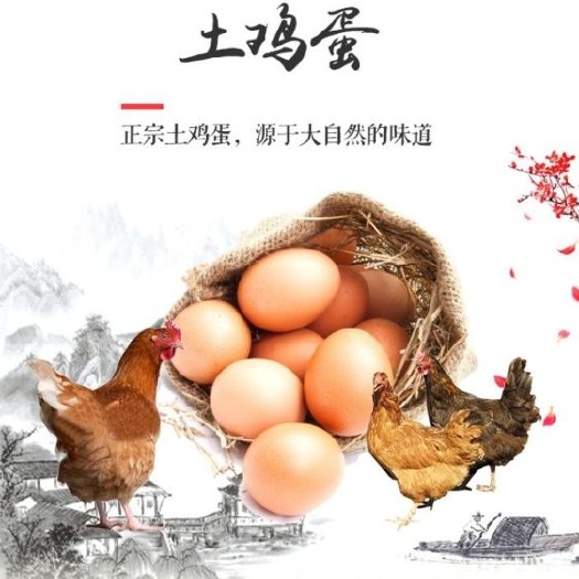 成都土鸡蛋 食用 礼盒装
