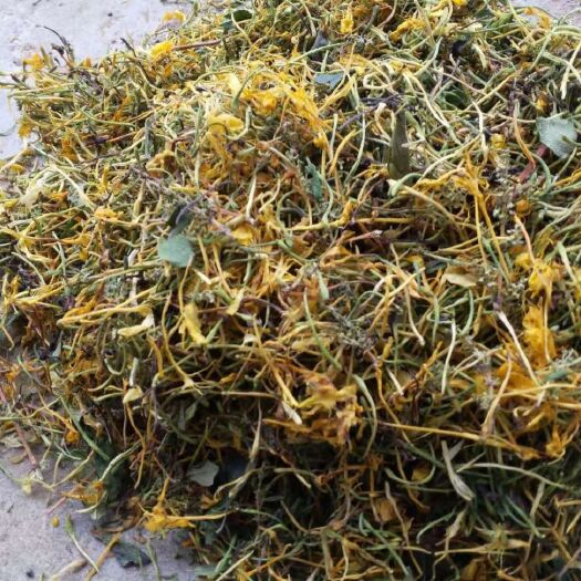隆回县山银花