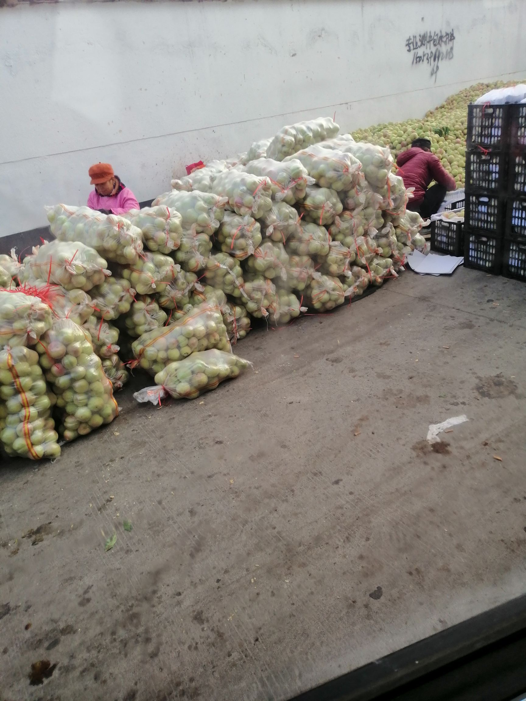 映霜红蜜桃 今年最后一批冬桃，脆，甜