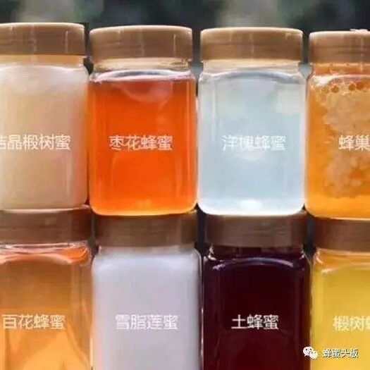 泌阳县 纯正蜂蜜，天然有机食品，老少皆宜，量大从优