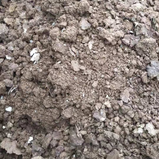 襄樊散装 发酵干牛粪