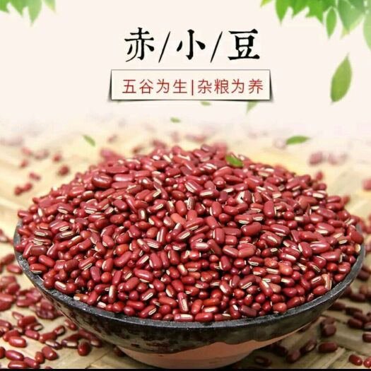 湘潭县 红豆赤小豆