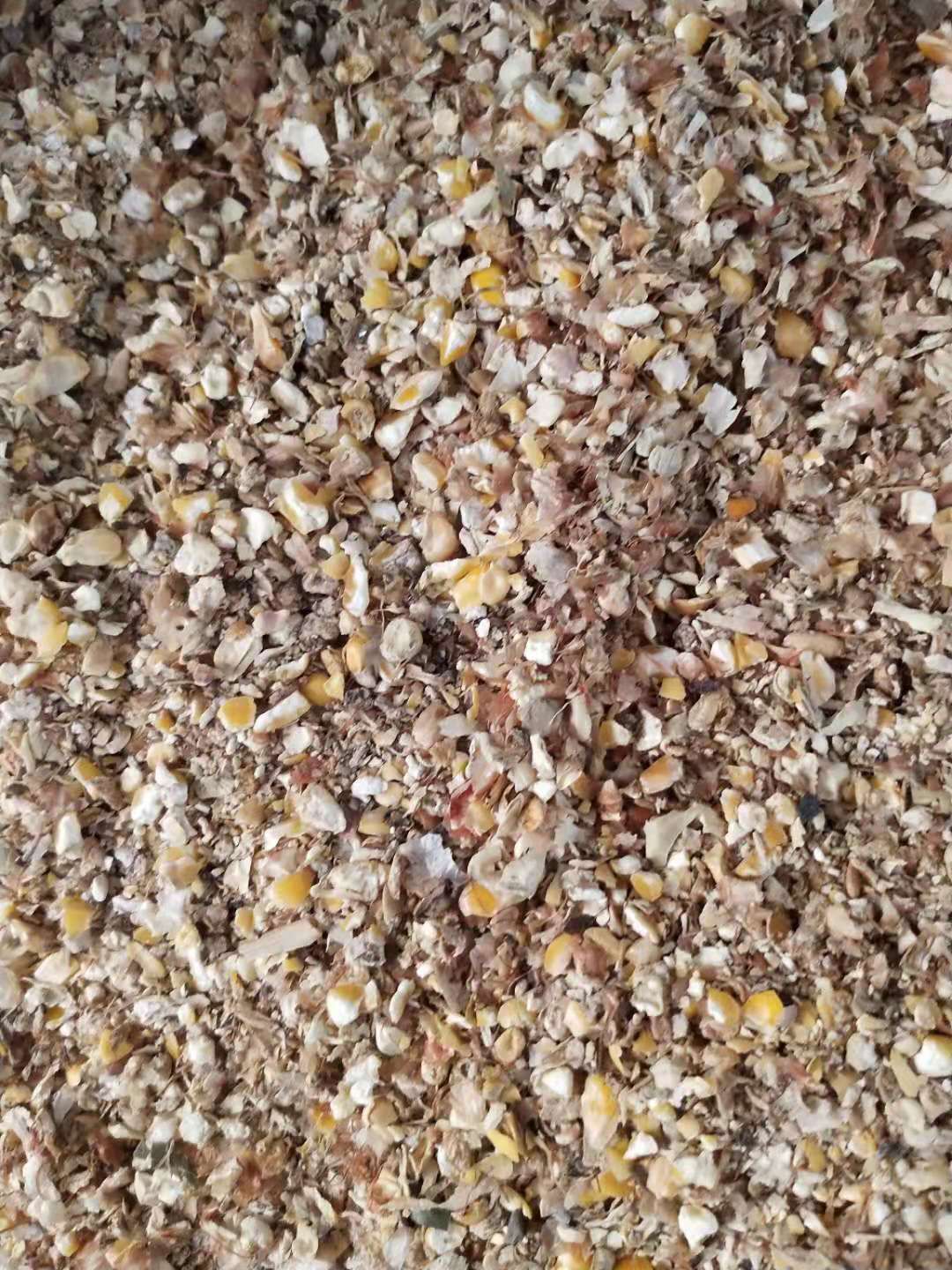干玉米  玉米下脚料  碎玉米   下脚料常年出售