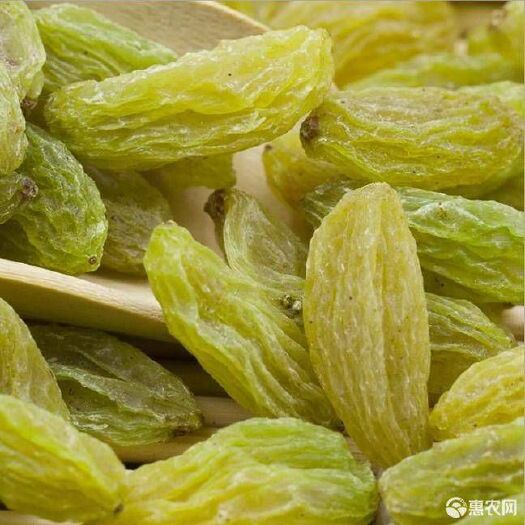 墨玉县 新疆绿香妃葡萄干（自家种植）批发，诚信第一