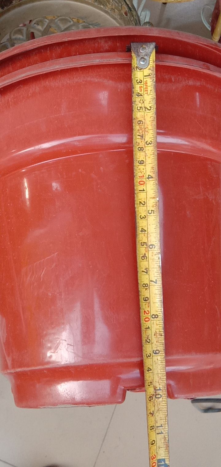 荷花盆栽 红美花盆，红色，口径内口直径30厘米高度23厘米