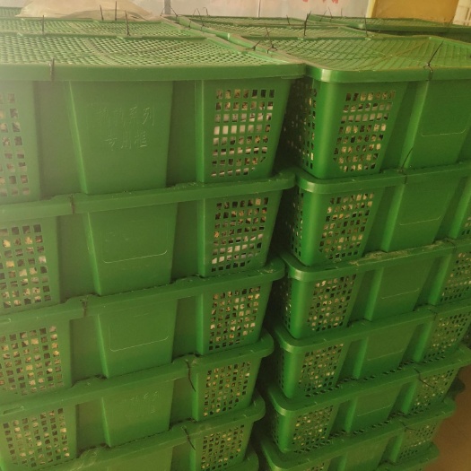 东源县土鹌鹑蛋 自养自销蛋品新鲜
