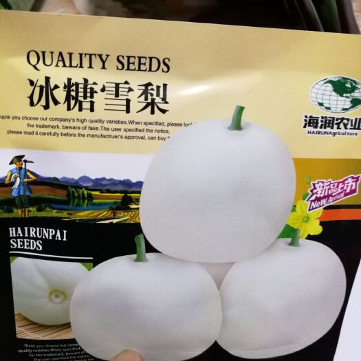 郑州 冰糖雪梨甜瓜种子