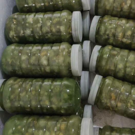 遂溪县豆虫 产地直销豆丹，现幹，量大