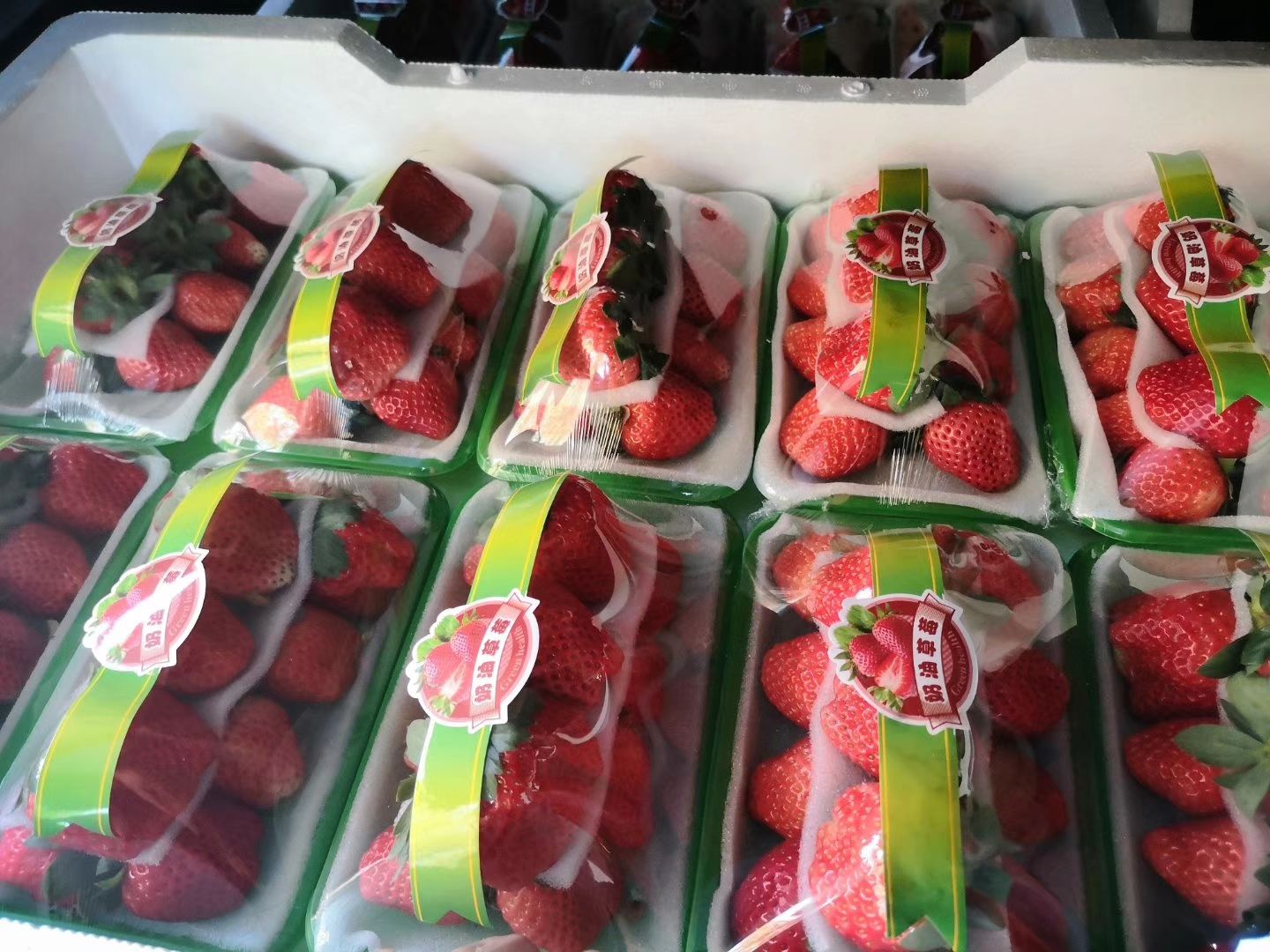 草莓批发