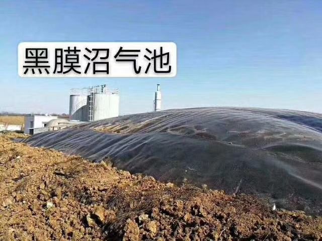  养殖场沼气池专用黑膜