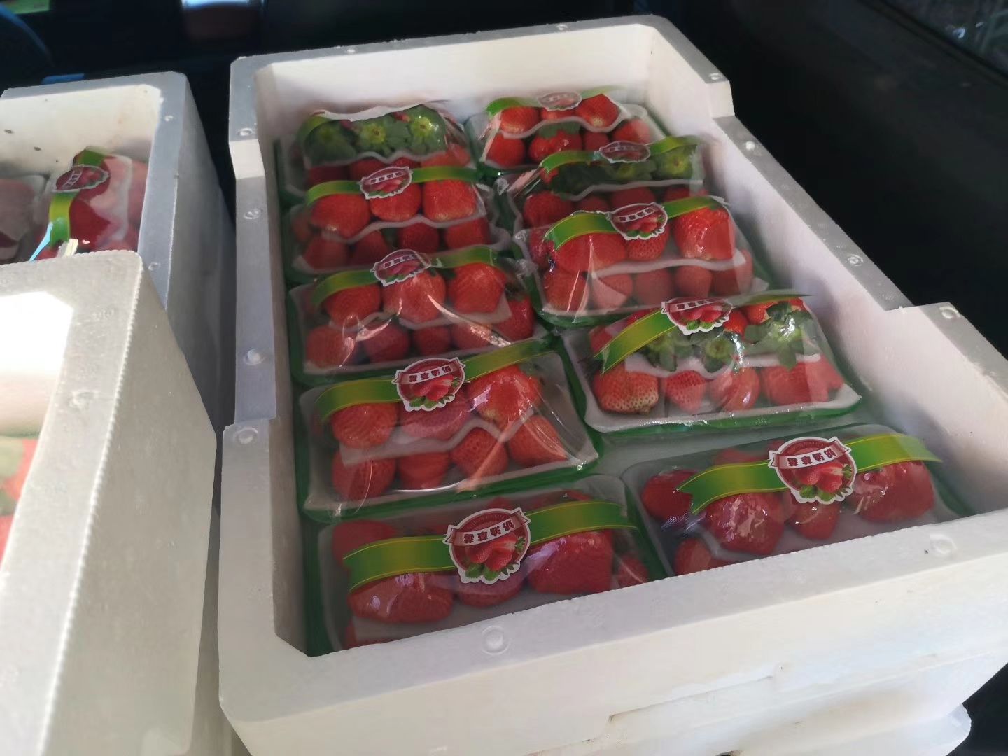  草莓批发