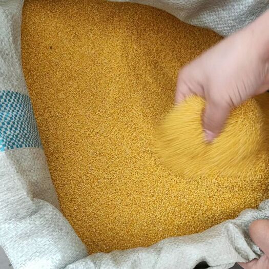 忻州 小米不只是手机，还是你必备的健康食品