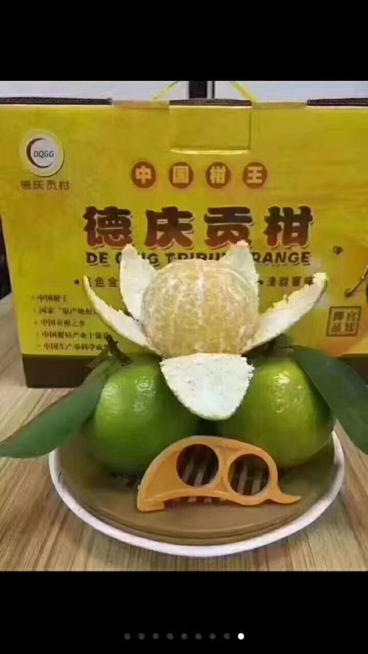 皇帝柑 黄帝柑