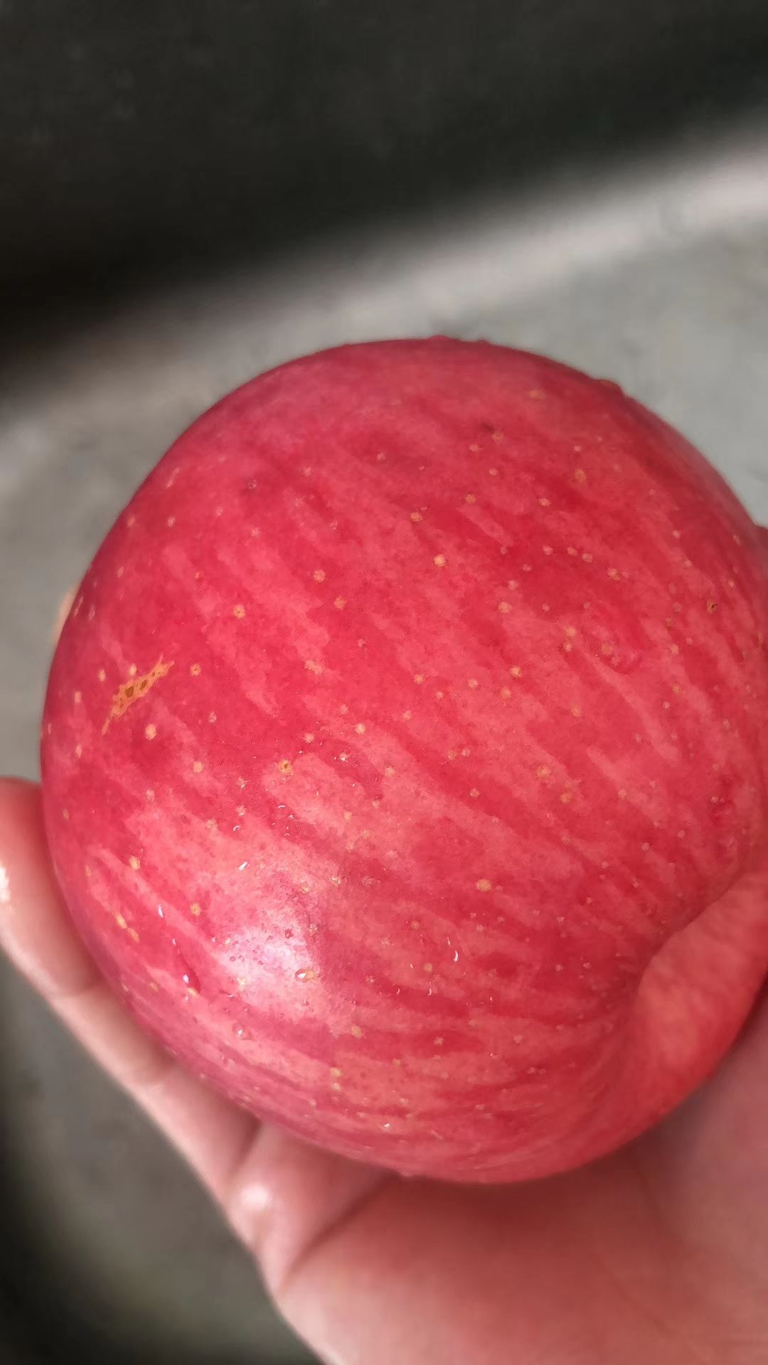  陕西自己家种的苹果红富士新鲜应现当季批一斤5.5元
