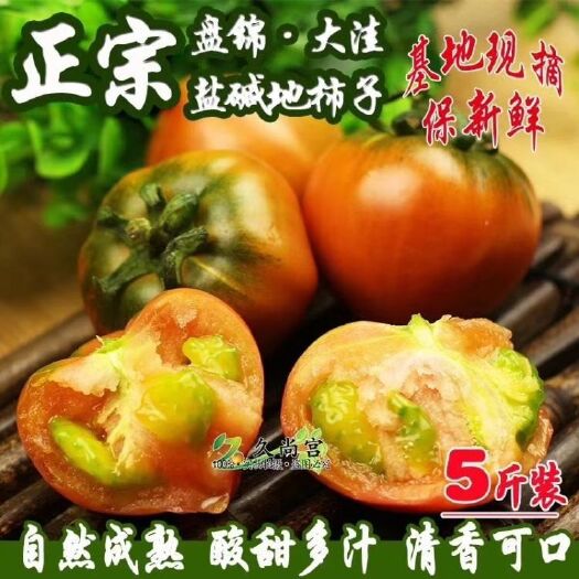 盘锦盐碱地西红柿  昕然碱地柿子采摘