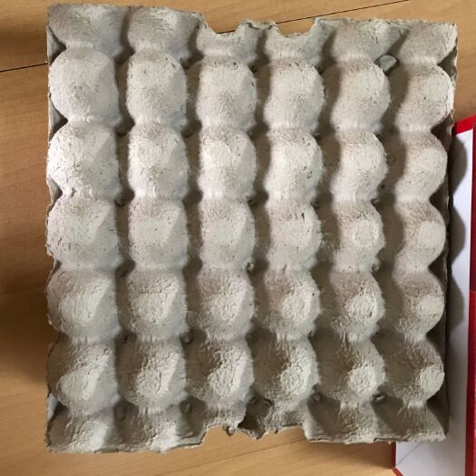 济南普通鸡蛋 食用 箱装