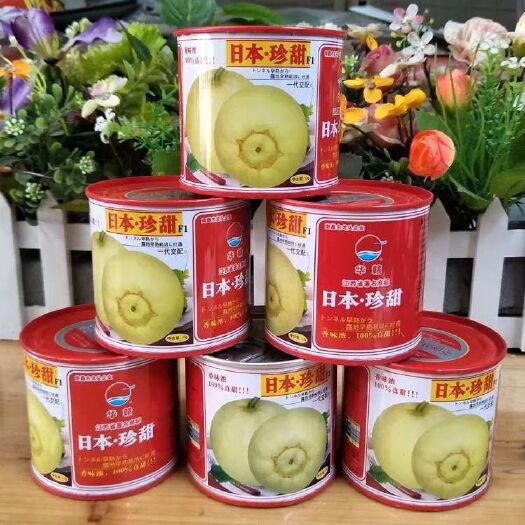 樟树市甜宝甜瓜种子 【华赣珍甜】一代杂交香瓜种子甜宝冰糖甜王糖