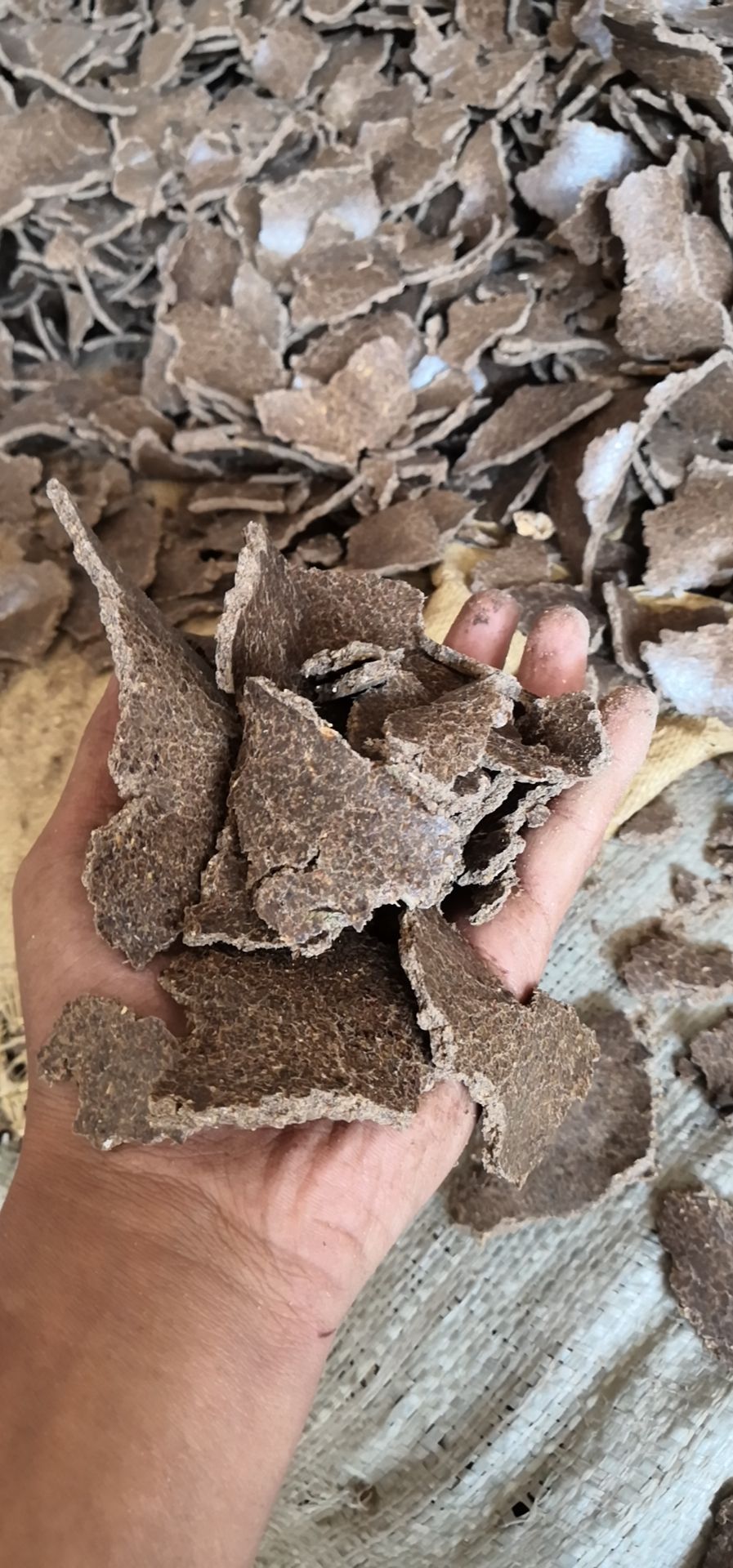 花生粕  常年大量供应二级花生饼