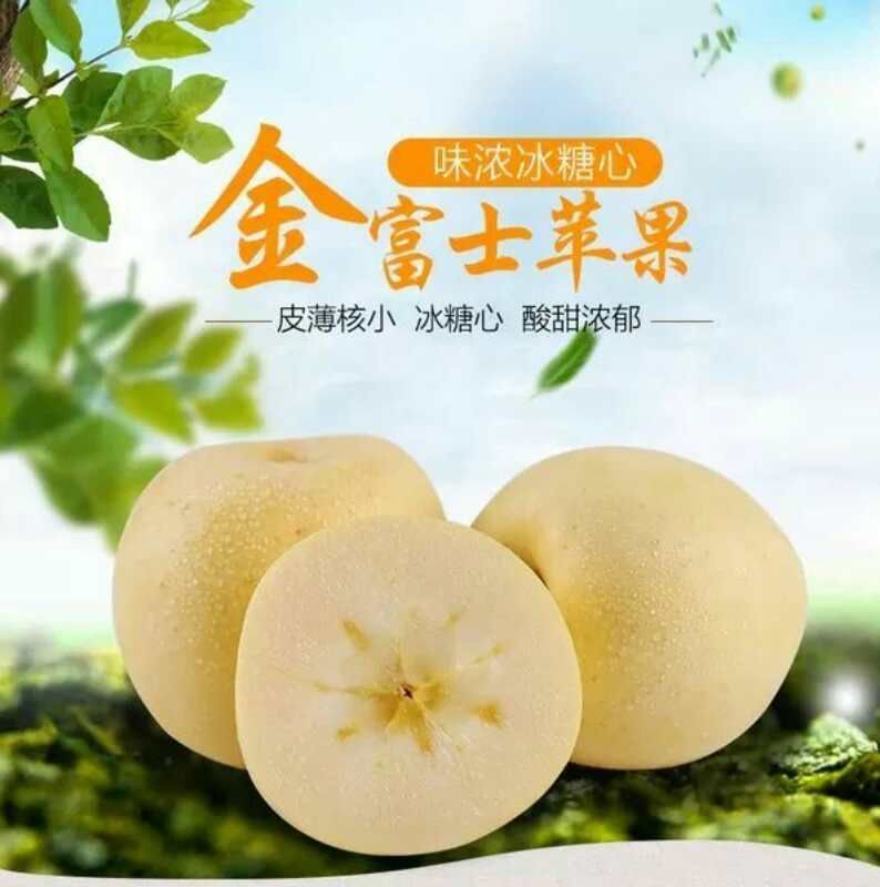  烟台黄金富士苹果，奶油富士