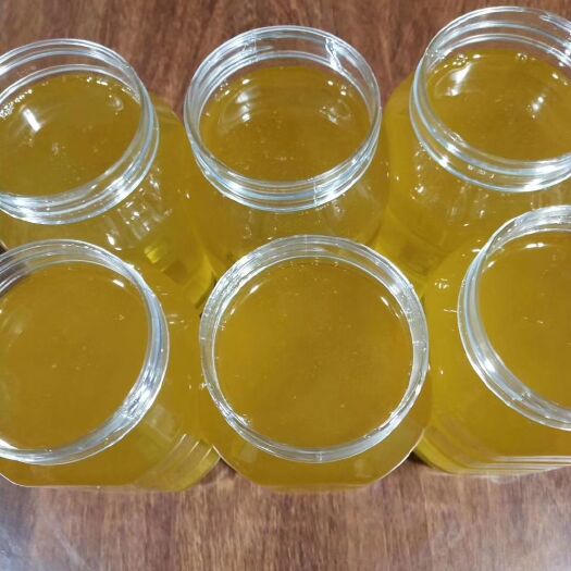  东北椴树蜜，大桶批发，保纯度