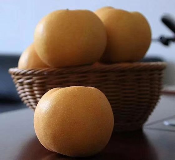 2023新果秋月梨  脆甜多汁果肉细腻无渣快递包邮礼盒装供选