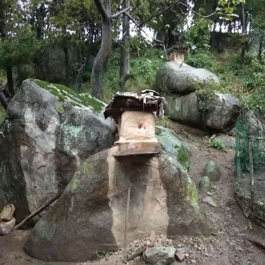 南召县 土蜂蜜